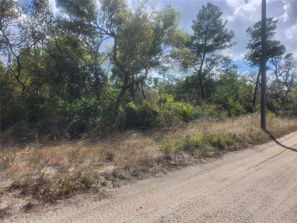 Property for sale at TBD NE 236 LANE, ORANGE SPRINGS, FL, 32182