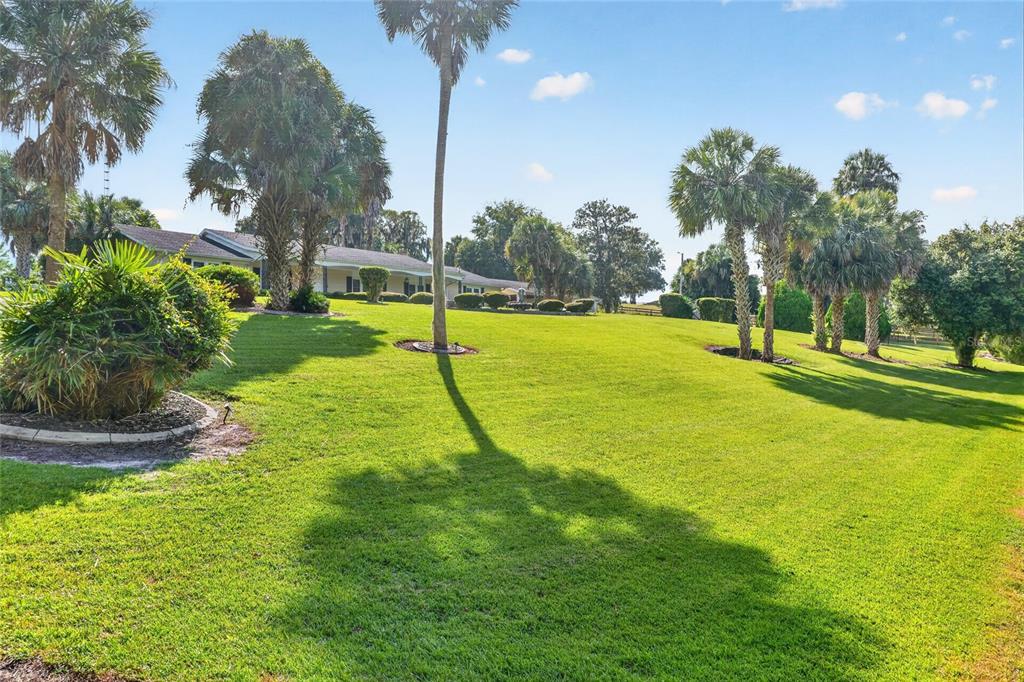 Property for sale at 6994 NW HIGHWAY 320, MICANOPY, FL, 32667