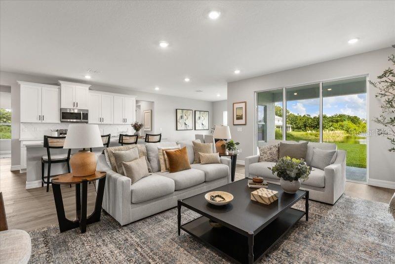 Living Room-not the ectual home-