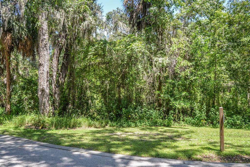 Property for sale at 4808 RAMBLING RIVER ROAD, BRANDON, FL, 33511