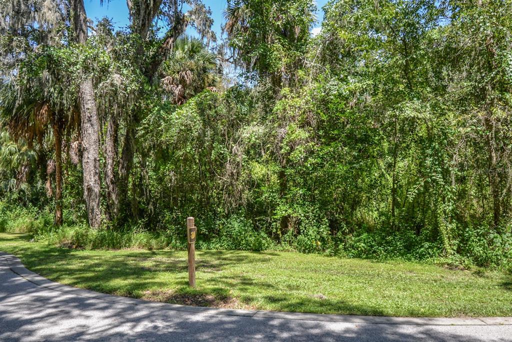 Property for sale at 4808 RAMBLING RIVER ROAD, BRANDON, FL, 33511