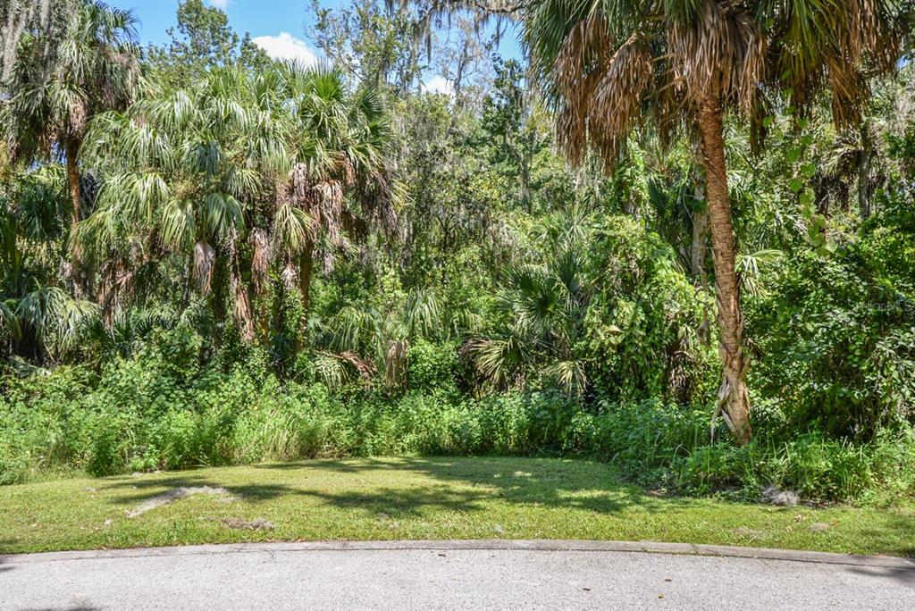Property for sale at 4808 RAMBLING RIVER ROAD, BRANDON, FL, 33511