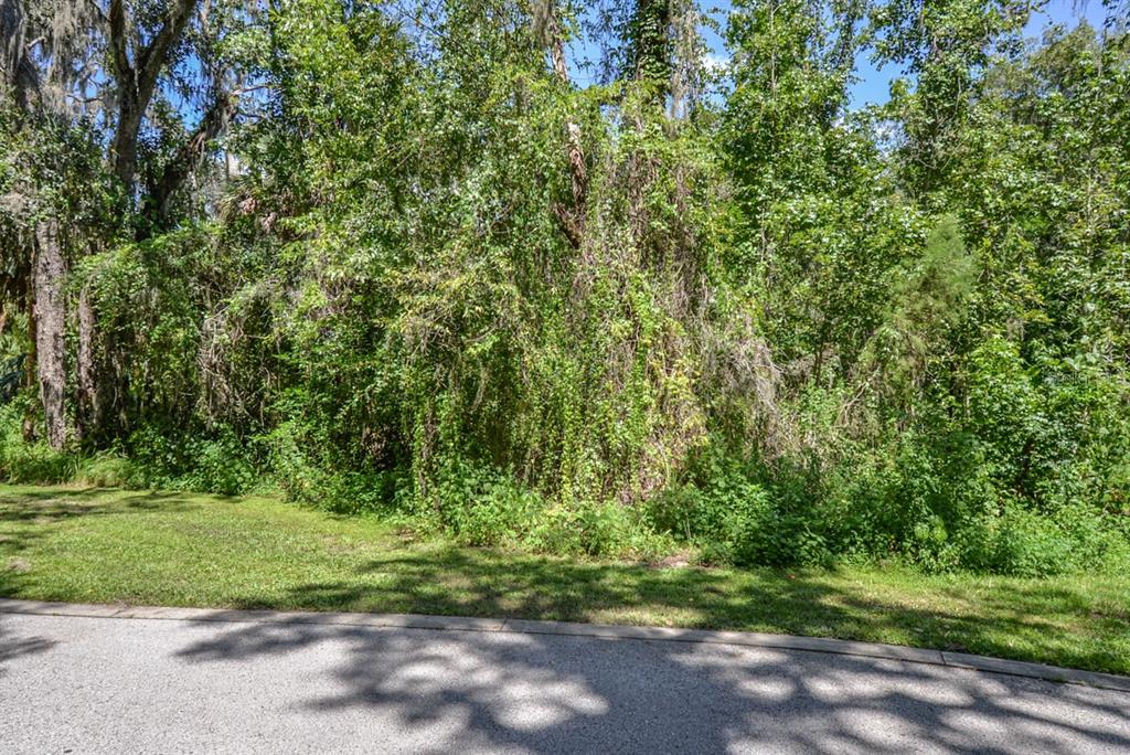 Property for sale at 4808 RAMBLING RIVER ROAD, BRANDON, FL, 33511