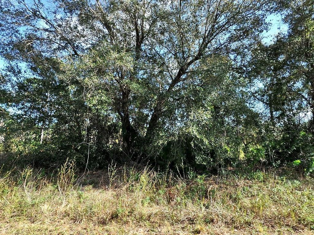 Property for sale at LONGFELLOW LANE, NORTH PORT, FL, 34288