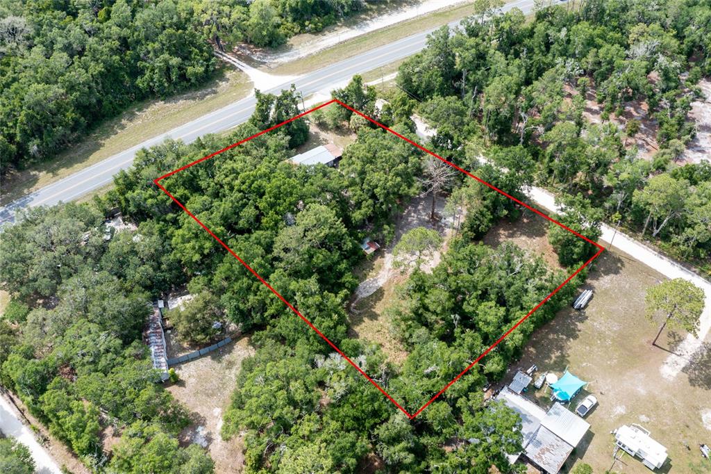 Property for sale at 9580 NE HIGHWAY 351, OLD TOWN, FL, 32680