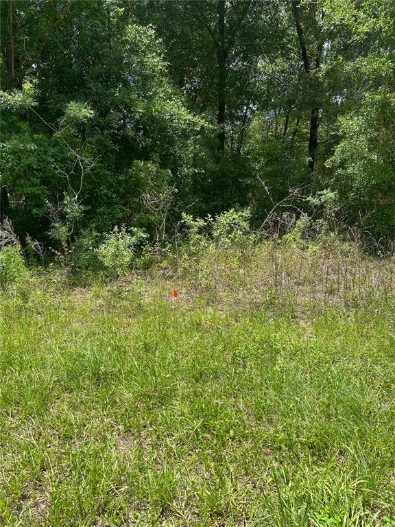 Property for sale at 7654 N UDAL DRIVE, CITRUS SPRINGS, FL, 34434