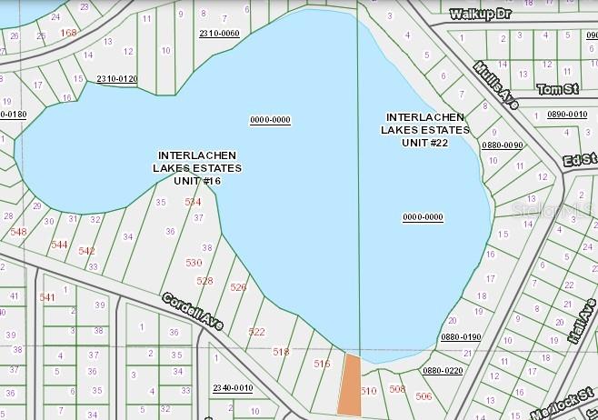 Property for sale at CORDELL AVENUE, INTERLACHEN, FL, 32148