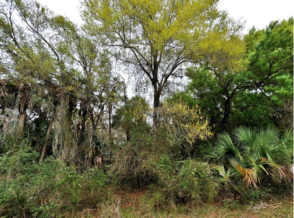 Property for sale at BACKERT RD., NORTH PORT, FL, 34291