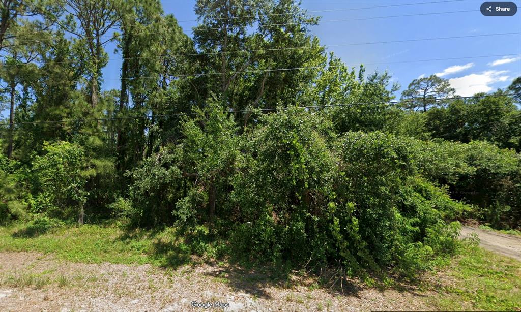 Property for sale at 427 WASHINGTON BOULEVARD, LAKE PLACID, FL, 33852
