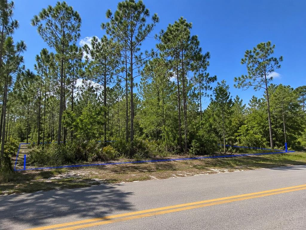 Property for sale at 2699 GAINESVILLE ROAD SE, PALM BAY, FL, 32909