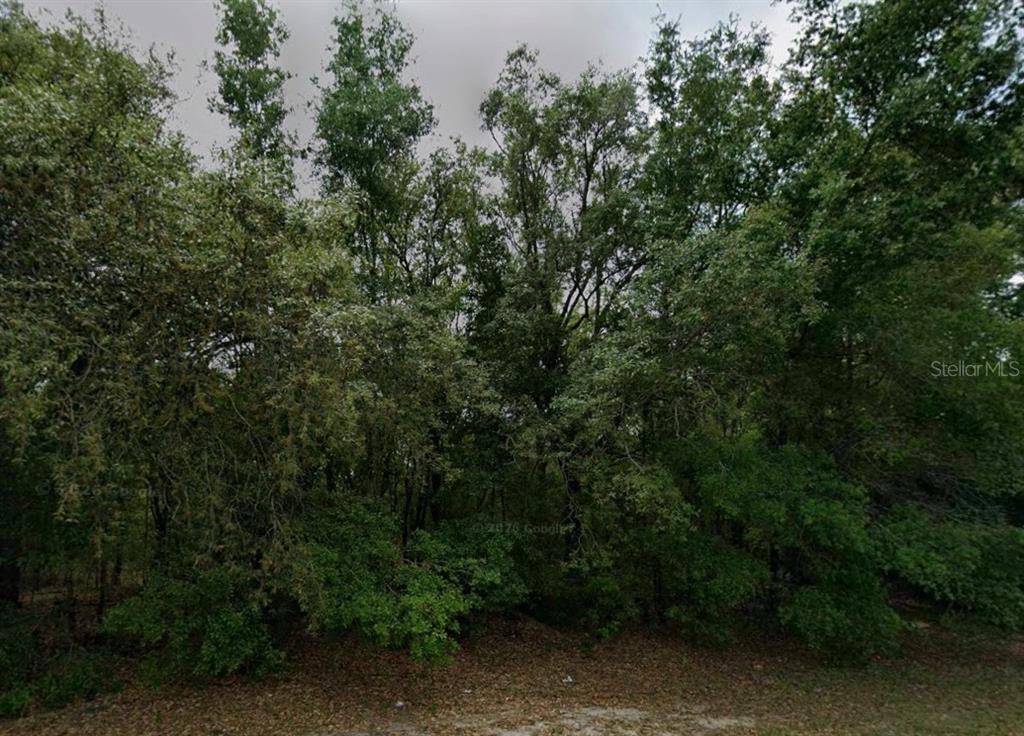 Property for sale at 588 W ANDERSON LANE, CITRUS SPRINGS, FL, 34434