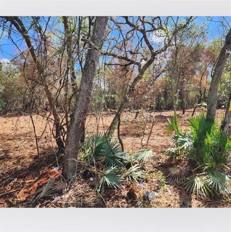 Property for sale at 20385 SE 155TH PLACE, UMATILLA, FL, 32784