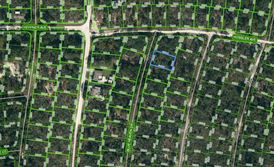 Property for sale at 325 BLUE HEAVEN DRIVE, LAKE PLACID, FL, 33852