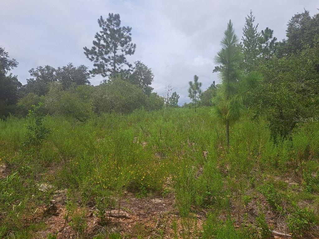 Property for sale at 00 SE 125TH COURT, DUNNELLON, FL, 34431