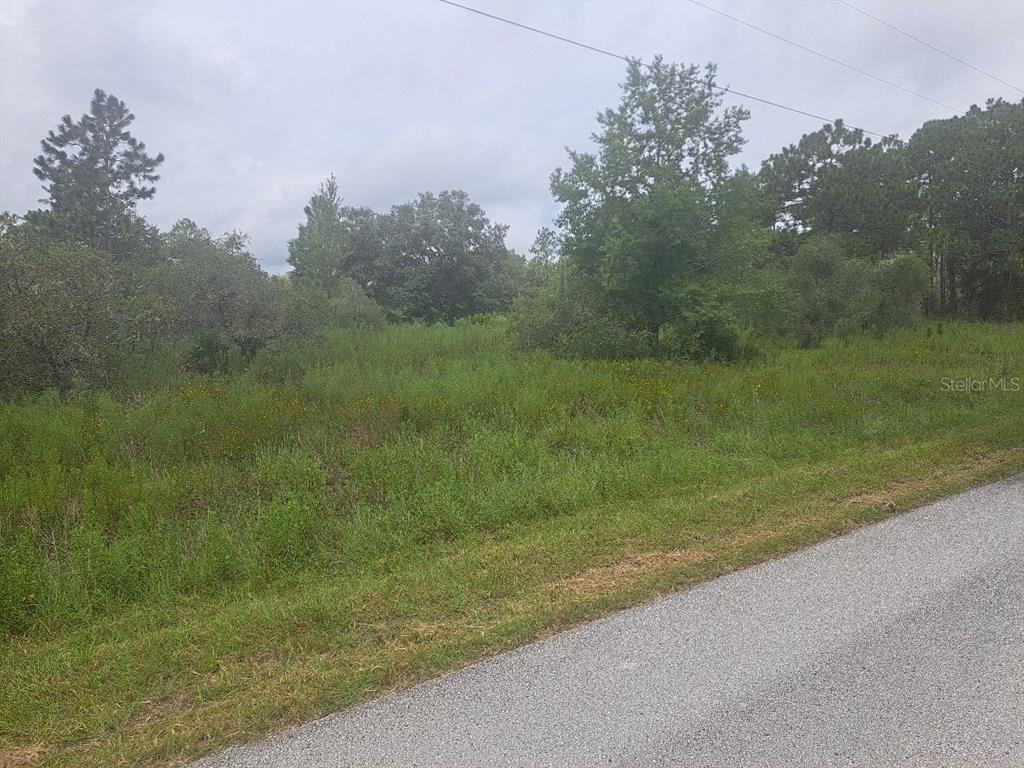 Property for sale at 00 SE 125TH COURT, DUNNELLON, FL, 34431