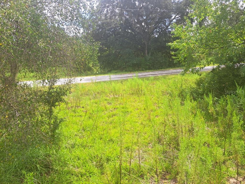 Property for sale at 00 SE 125TH COURT, DUNNELLON, FL, 34431