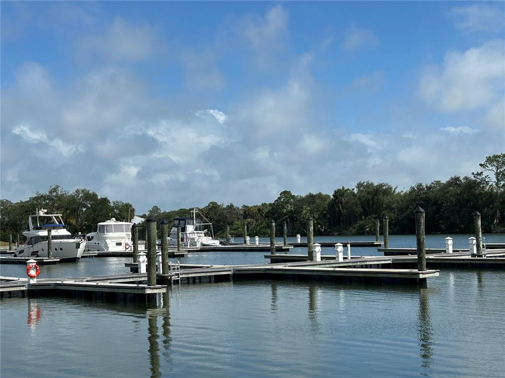 Property for sale at 46 DEL PALMA DRIVE, PALM COAST, FL, 32137