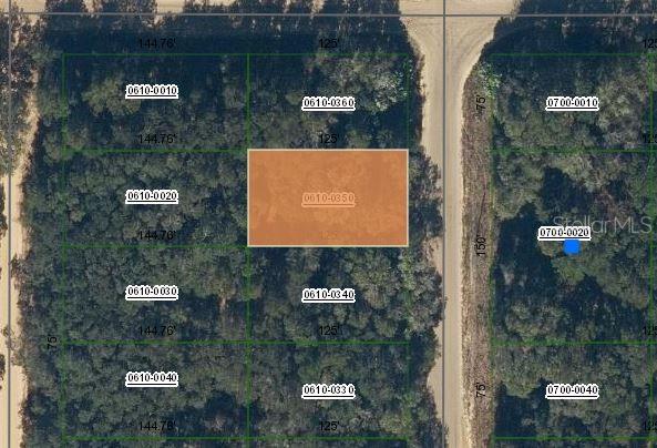 Property for sale at ANNETTE AVENUE, INTERLACHEN, FL, 32148