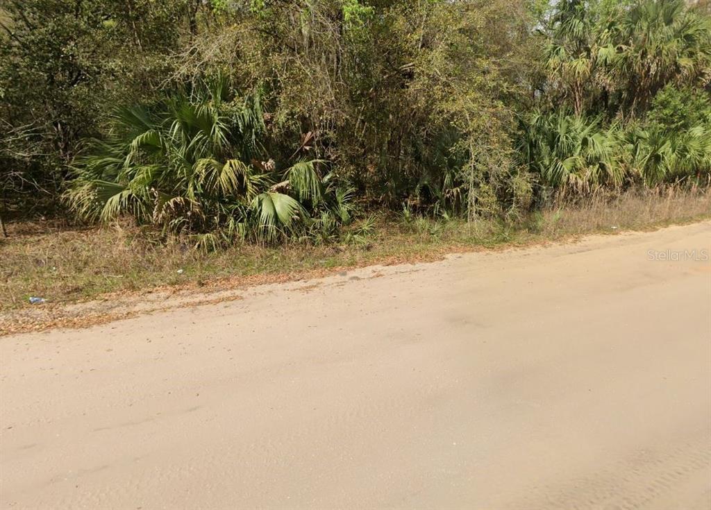 Property for sale at ANNETTE AVENUE, INTERLACHEN, FL, 32148