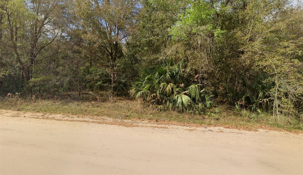 Property for sale at ANNETTE AVENUE, INTERLACHEN, FL, 32148