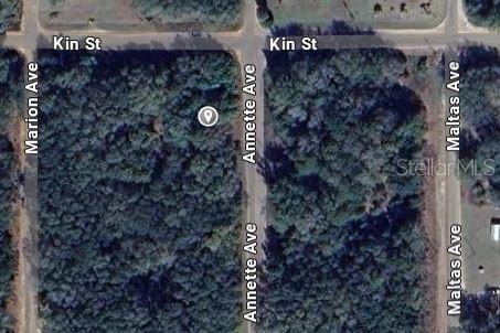 Property for sale at ANNETTE AVENUE, INTERLACHEN, FL, 32148