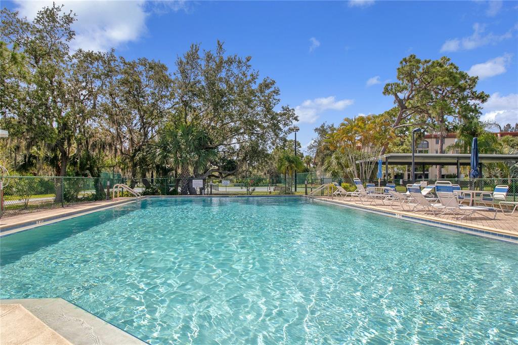 Large pool for swimming ad relaxing