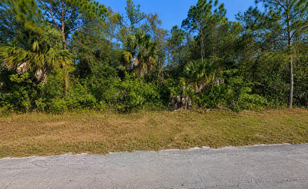 Property for sale at 904 ALBANY AVENUE, LEHIGH ACRES, FL, 33971