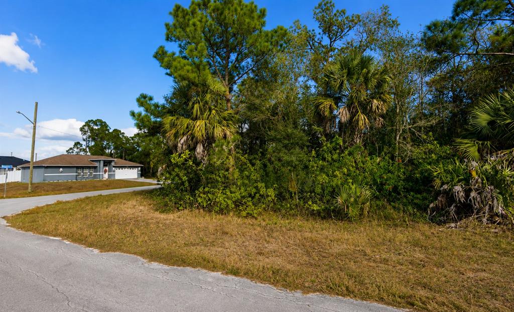 Property for sale at 904 ALBANY AVENUE, LEHIGH ACRES, FL, 33971