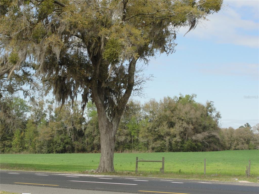 Property for sale at TBD HIGHWAY 441, ALACHUA, FL, 32615