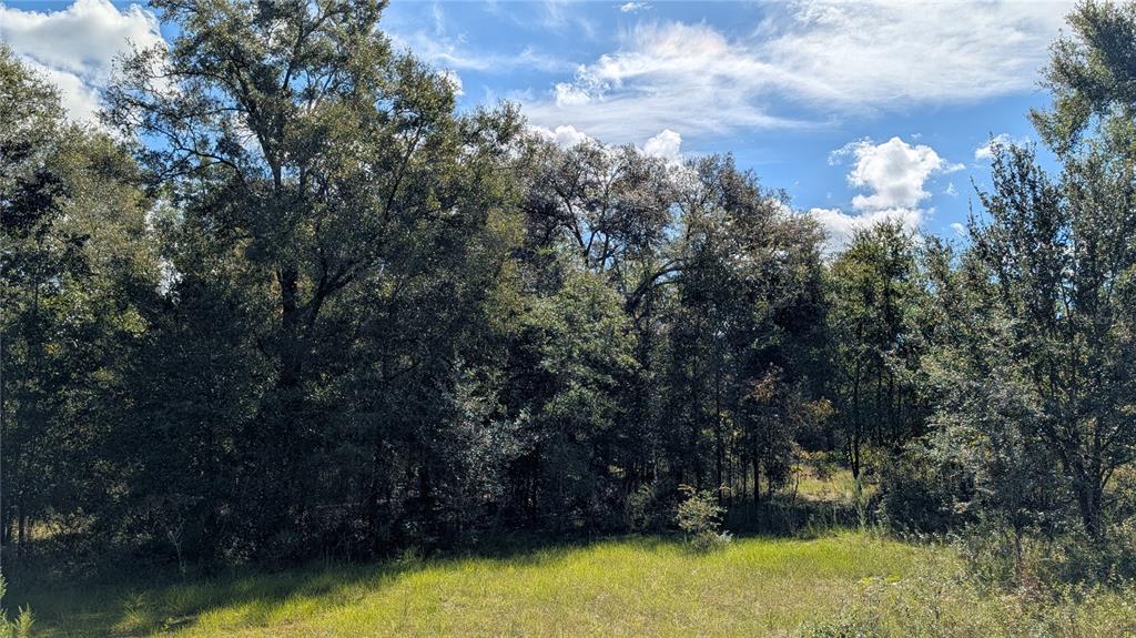 Property for sale at Lot 3 NE 48TH COURT, HIGH SPRINGS, FL, 32643