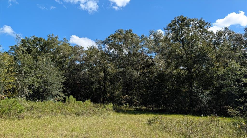Property for sale at Lot 3 NE 48TH COURT, HIGH SPRINGS, FL, 32643
