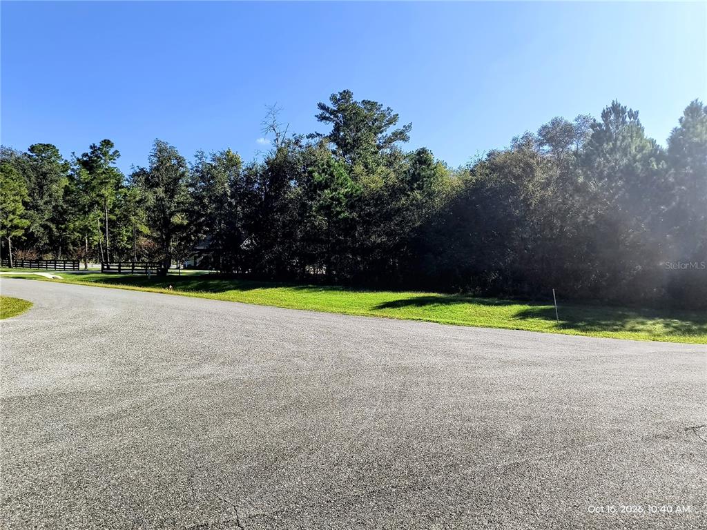 Property for sale at 14095 NW 141ST AVENUE, WILLISTON, FL, 32696