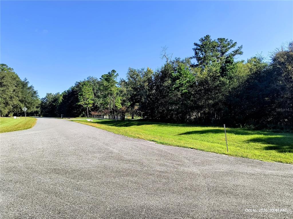 Property for sale at 14095 NW 141ST AVENUE, WILLISTON, FL, 32696