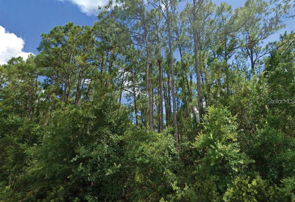 Property for sale at LANGSOM LANE, NORTH PORT, FL, 34286