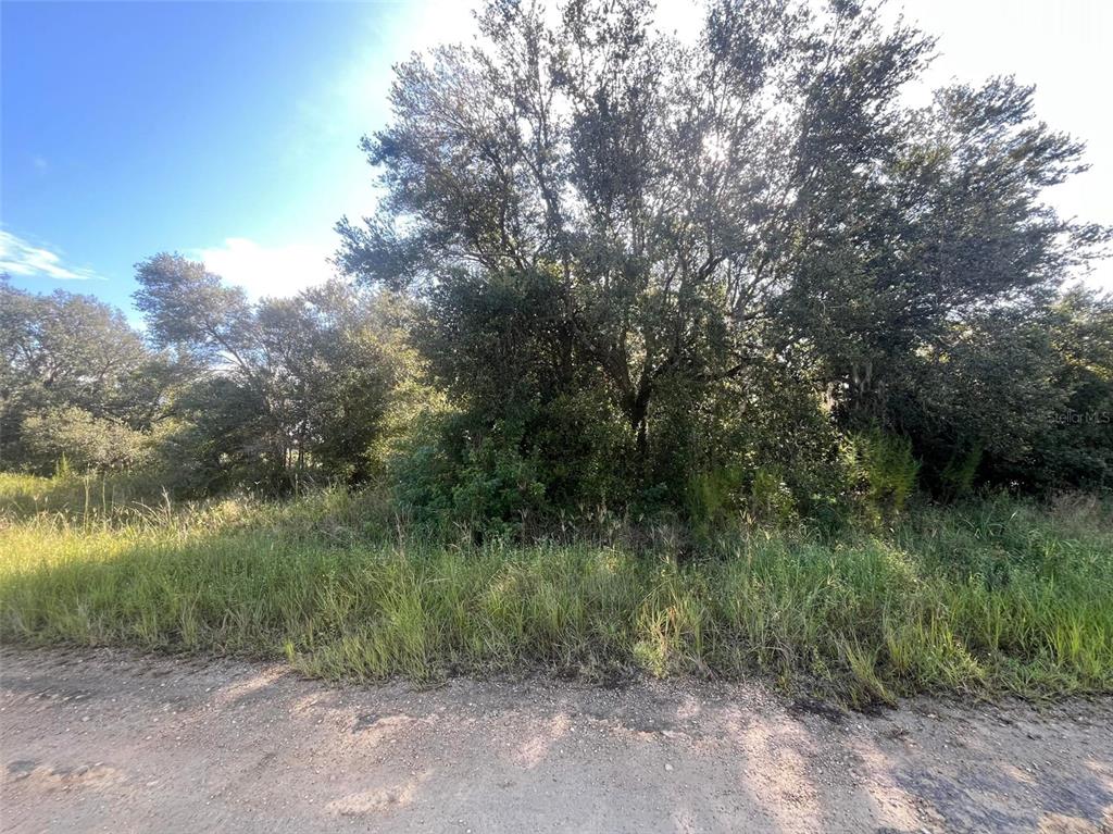 Property for sale at 1702 MCARTHUR AVENUE, LEHIGH ACRES, FL, 33972