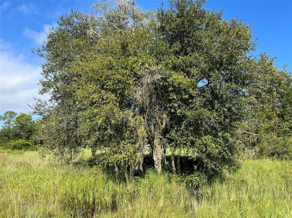 Property for sale at 1702 MCARTHUR AVENUE, LEHIGH ACRES, FL, 33972