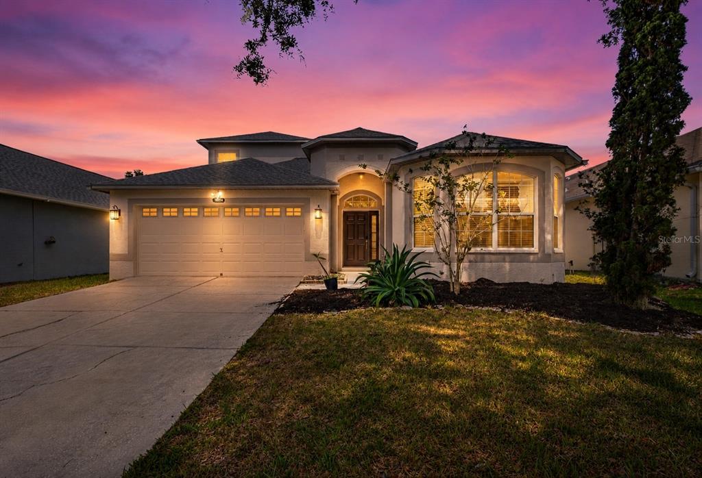 Property for sale at 10024 COLDWATER LOOP, LAND O LAKES, FL, 34638