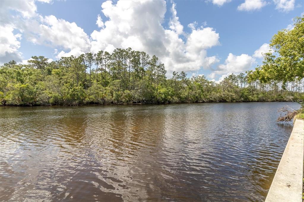 Property for sale at FLOTILLA, HOLIDAY, FL, 34690