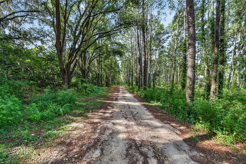 Property for sale at 15020 W HIGHWAY 328, OCALA, FL, 34482