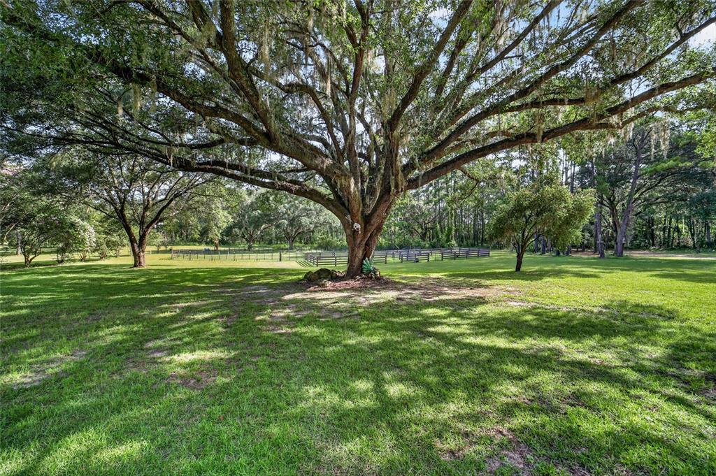 Property for sale at 15020 W HIGHWAY 328, OCALA, FL, 34482