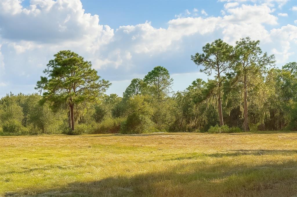Property for sale at 1205-1209 W ALEXANDER STREET, PLANT CITY, FL, 33563