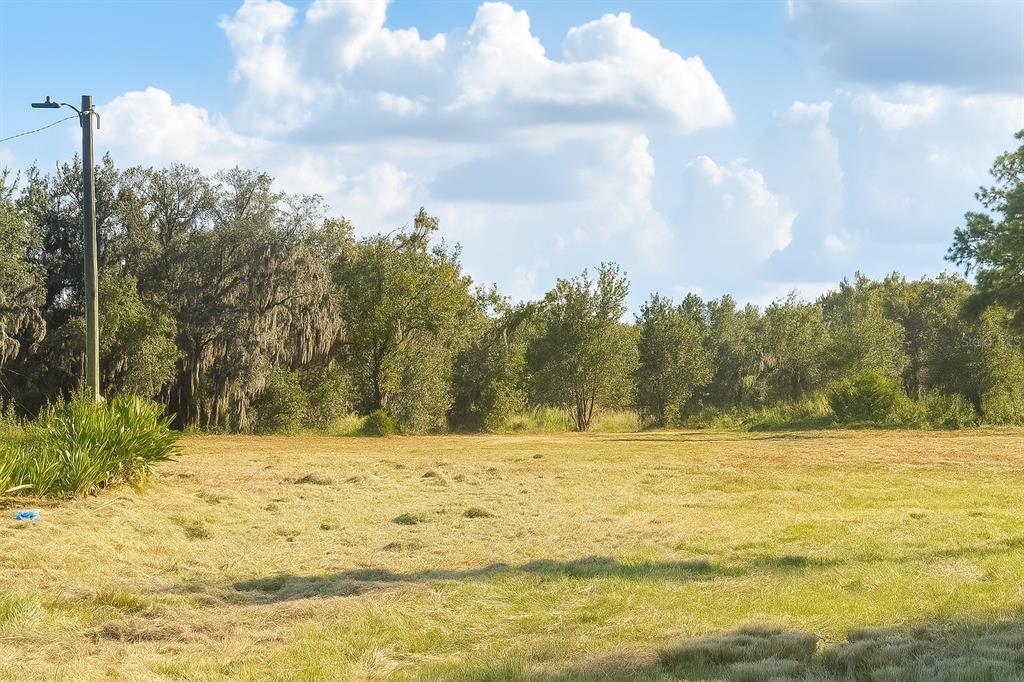 Property for sale at 1205-1209 W ALEXANDER STREET, PLANT CITY, FL, 33563