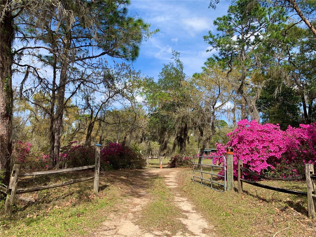 Property for sale at 24605 and 24645 NE 177TH TERRACE, FORT MC COY, FL, 32134