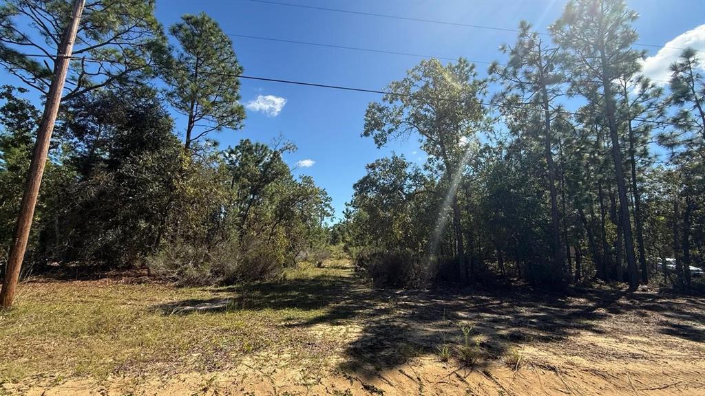 Property for sale at 1404 TWIN LAKES BLVD, INTERLACHEN, FL, 32148