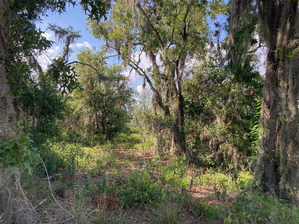 Property for sale at 0 3RD AVENUE, BABSON PARK, FL, 33827