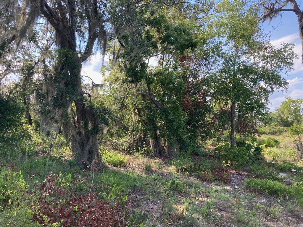 Property for sale at 0 3RD AVENUE, BABSON PARK, FL, 33827