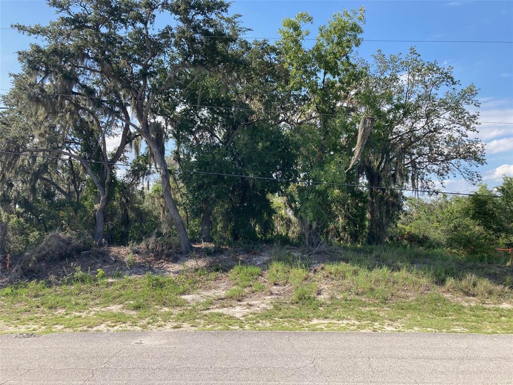 Property for sale at 0 3RD AVENUE, BABSON PARK, FL, 33827