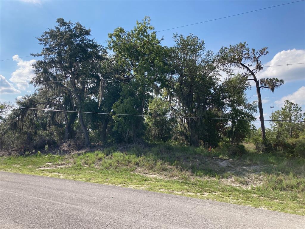 Property for sale at 0 3RD AVENUE, BABSON PARK, FL, 33827