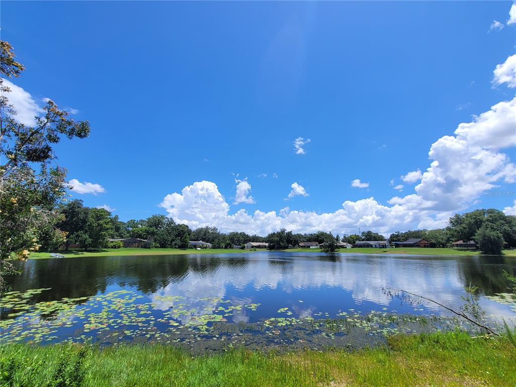 Property for sale at 708 WARREN ROAD, LUTZ, FL, 33548