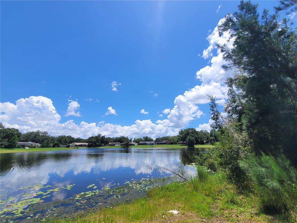 Property for sale at 708 WARREN ROAD, LUTZ, FL, 33548